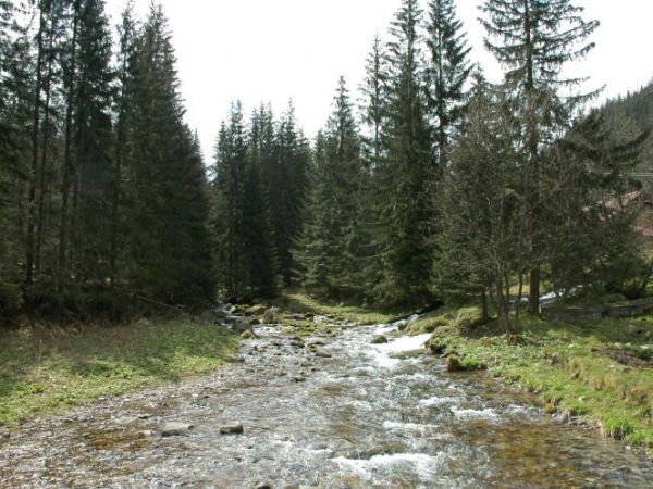 zdjecie Zakopane