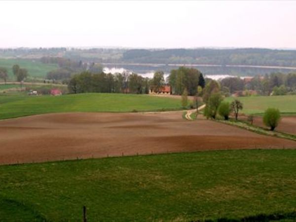 zdjecie Widryny