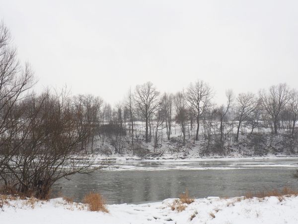 rzeka San - na wysokości przysiółka Iłowaty, tu wspomnę letnie spływy Doliną Sanu, zaczynające się w Lesku lub w Sanoku na Białej Górze - trasa spływu przebiega