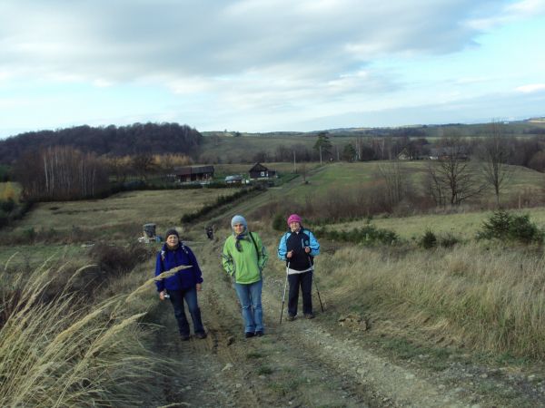 szlak nasz prowadzi przez urokliwe polany i pastwiska, kilkakrotnie odchodzą od niego leśne drogi i dróżki - po lewej zalesione zbocze Dił, za lasem pergola i p