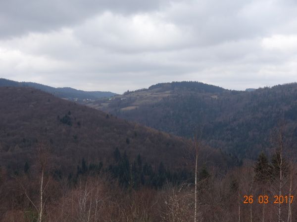 Widok z Osiedla Kozówka na Osiedle Jaworze. Na wprost Kijowa Góra, z lewej Kamienna ,z prawej stoki Szklanej Góry.