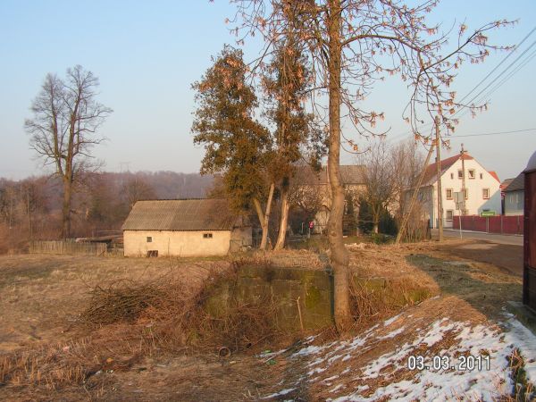 Zbylutów wieś./obok przystanku./Miejsce po byłym niemieckim pomniku poległych żołnierzy z 1918 r. Zachowało się kilka tuj i podmurówka  kamienna. Zburzone bloki