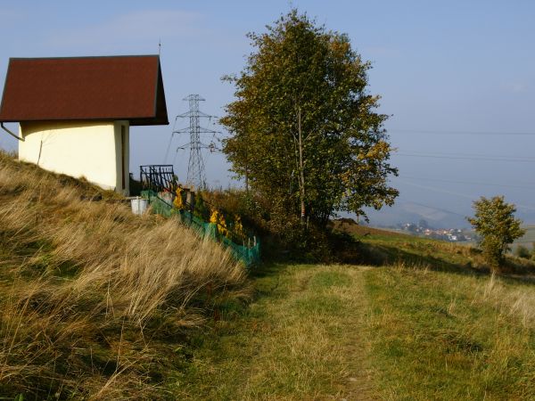 Kapliczka przy szlaku