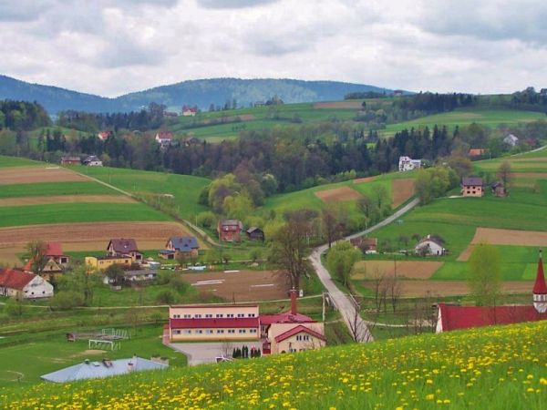 Wojnarowa,widok z przysilku Sikornik na Gòre Rosochatka. Fot. Daniel L.