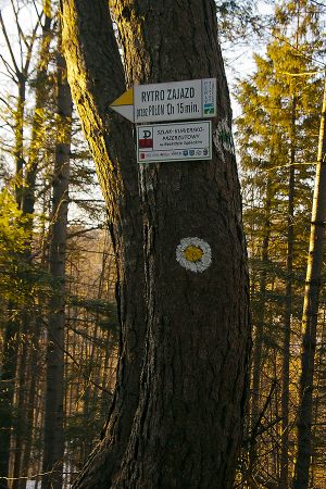 Na żółtym szlaku-Rytro