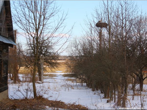 zdjecie Tyniewicze Duże