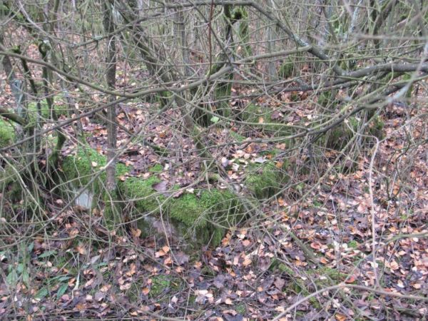 Stary cmentarz poniemiecki... jadąc od Kowalewa - w kierunku miejscowości Chomętowo, na zakręcie drogi, na wzniesieniu, na skraju lasku - tuż za tablicą miejsco