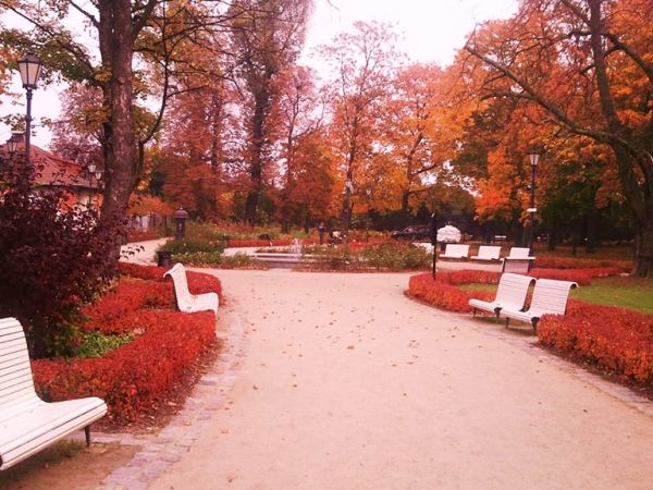 Park Południowy Sopot. Jesień 2013r.