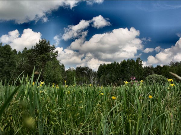 zdjecie Tyniewicze Duże