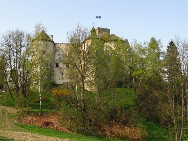 Zamek Niedzica za drzewami