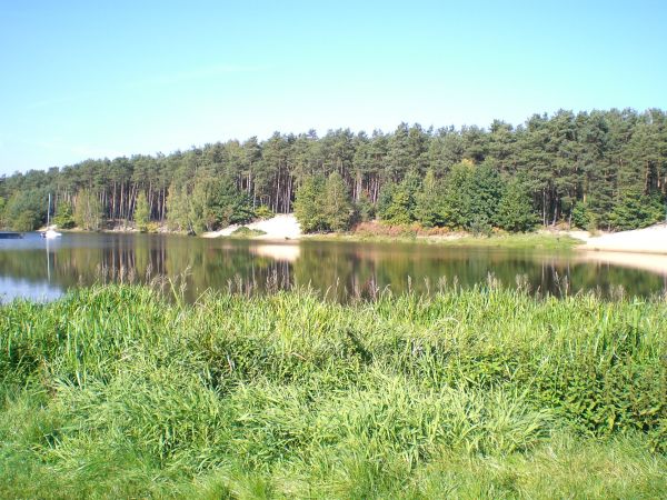 zdjecie Kobyla Góra