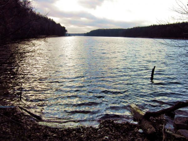 Jezioro Dejnowa w Świętej Lipce,widok od strony Świętej Lipki 2011-12-06