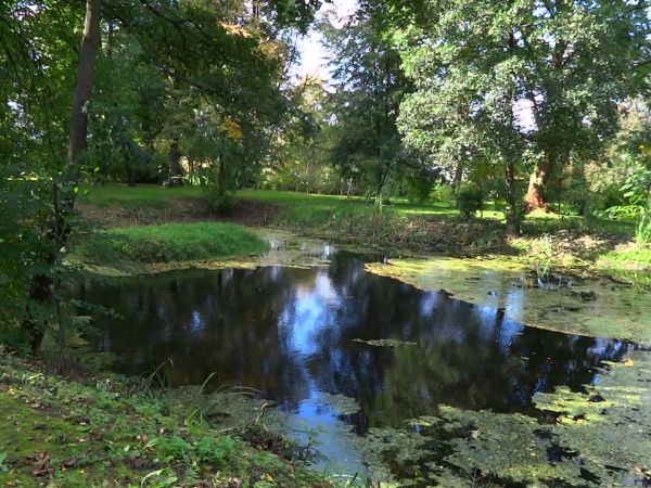 jeden z trzech stawów w parku dworskim - w tym w ubiegłym roku wodę wypuszczono i muł z dna wybrano - był tak "maśny", że wykorzystano go do innych szlachetnych