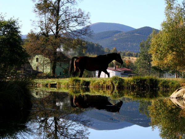 zdjecie Stary Gierałtów