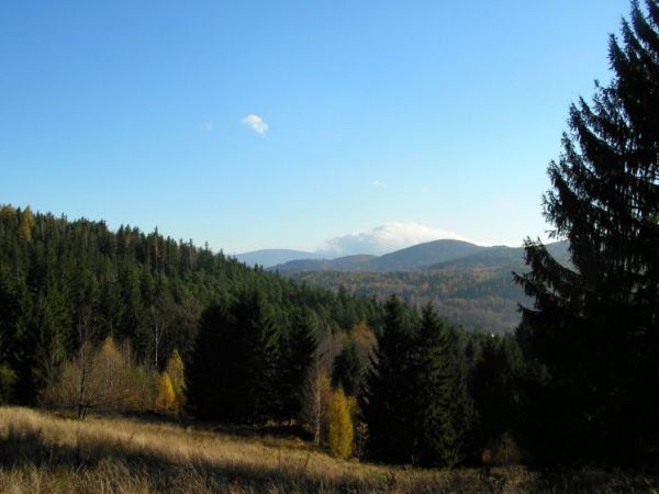 Widok z Przesieki na Śnieżkę