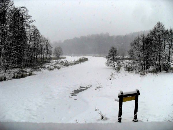 Zamarznięta rzeka Wda w Młyńsku