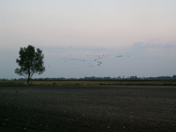 Zmrok nad Bródzkami