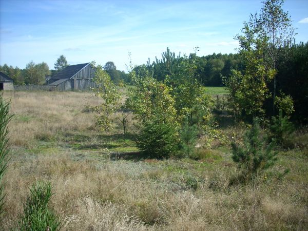 zdjecie Piłatowszczyzna