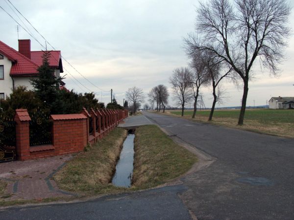 Zdjęcia Wiewiórów