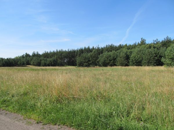 Teren pod budownictwo mieszkaniowe jednorodzinne na Szyszkowcu