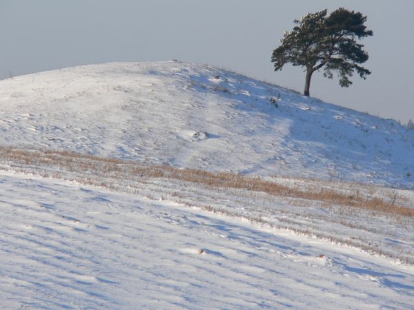 Największe wzniesienie w miejscowości.