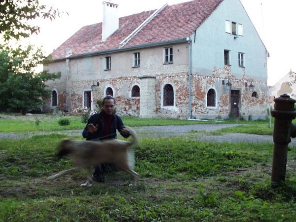 STAJNIA 2 PO PRZELOZENIU DACHU i REKONSTRUKCJI OKIEN