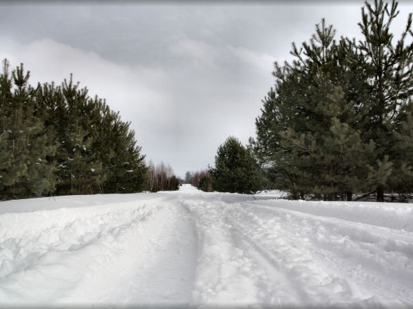 zdjecie Tyniewicze Duże