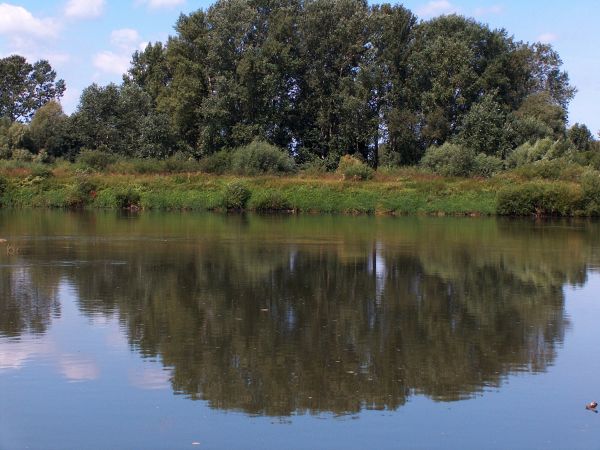 nad Wisla w Strojcowie