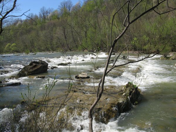 Na Ziemi Sanockiej jest dużo ciekawych, nasyconych urokami miejsc. Niektóre potrafią też swym pięknem  - zaskoczyć. Tak też jest z przełomem Wisłoka między Mymo