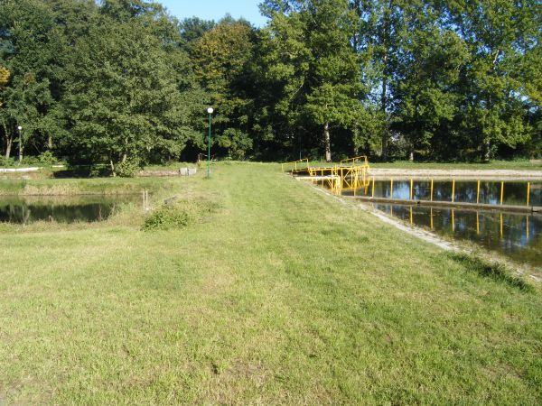 zdjecie Stare Kurowo