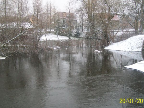 zdjecie Dziektarzewo