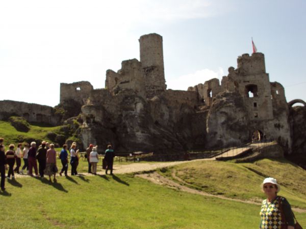 korzystna rzeźba terenu Wyżyny Krakowsko-Częstochowskiej sprzyjała budowie warowni obronnych - tu zamek wzniesiony na najwyższym wzgórzu Jury zwanym Górą Janows