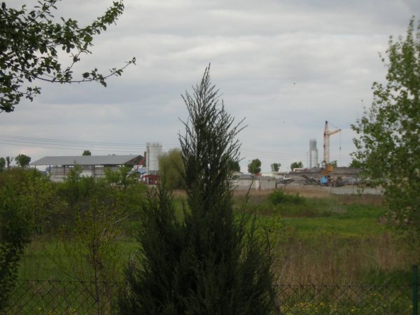 zdjecie Sulechów