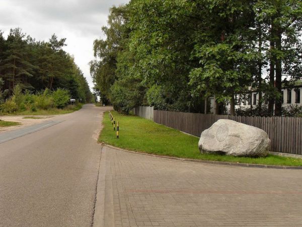 Wizytówka Nadleśnictwa Kaliska