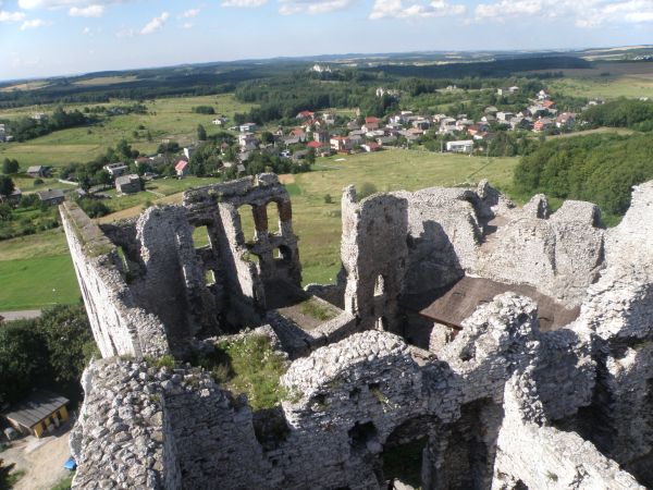 ZAMEK  OGRODZIENIEC  znajduje się w osadzie  Podzamcze , około 2 km na wschód od miejscowosci  Ogrodzieniec.