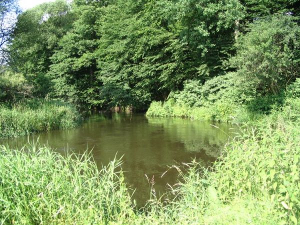 Wspaniała trasa kajakowa ?