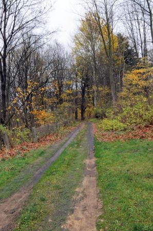 Po prawej stronie niedaleko drogi znajdował się pałacyk W tej chwili teren zarośnięty samosiejką. Trudno tam wejść, a i pokazywać nie ma już co. Szkoda.