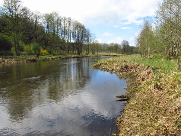 Nad rzeką Wdą w Czarnej Wodzie.