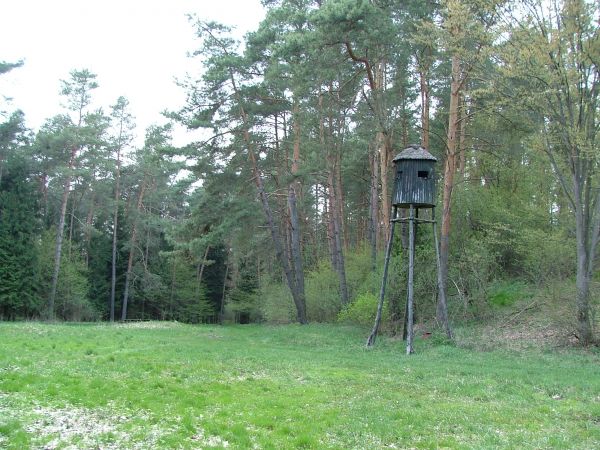 Ambona (majstersztyk).