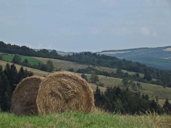 takie bele, to baloty się nazywają i stanowić będą składową zaplecza paszy lub wyściółki w oborach - tam hodowle bydła oraz owiec i kóz /zapraszam do galerii: T