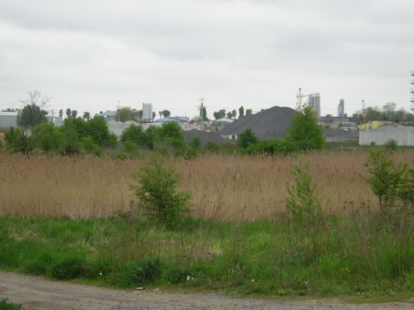 zdjecie Sulechów