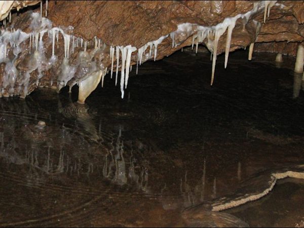 Jaskinia Niedżwiedzia (6)