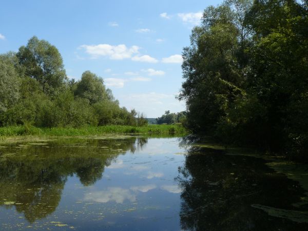 Urzekające podlaskie niebo w Mielniku nad Bugiem i w Bugu