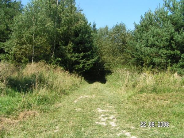 Zdjęcia Słupia Nadbrzeżna-Kolonia