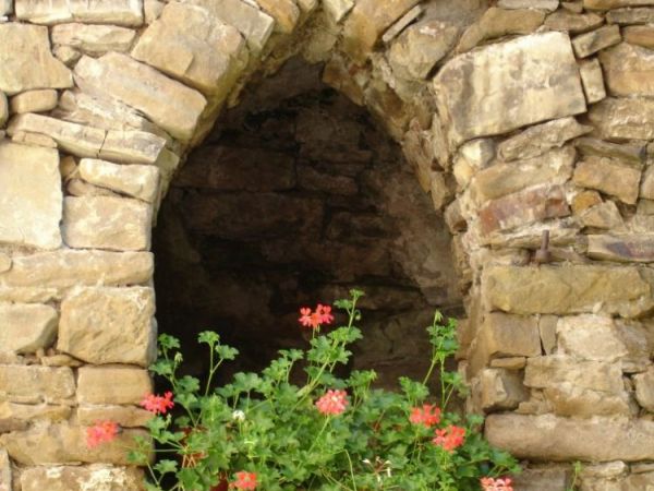 zdjecie Niedzica Zamek