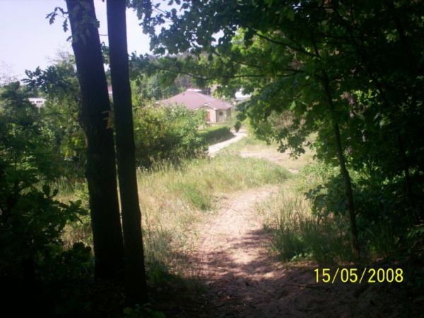 Jest wiele ścieżek w lesie, które prowadzą do pięknych miejsc.