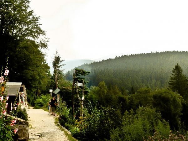 Schronisko na Iglicznej