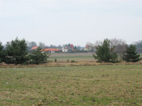 Widok  na Chonienie od strony nowego cmentarza