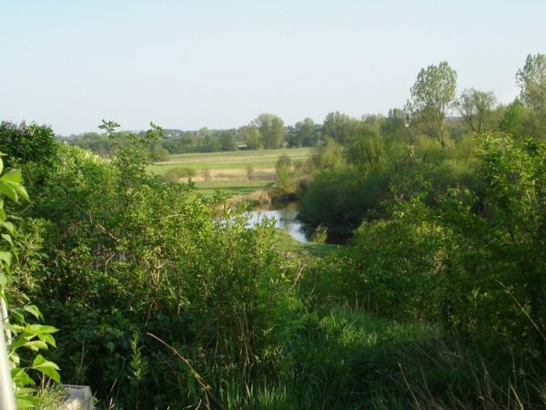 Zawieprzyce - Nadwieprzanski Park Krajobrazowy - widok ze wzgorza zamkowego