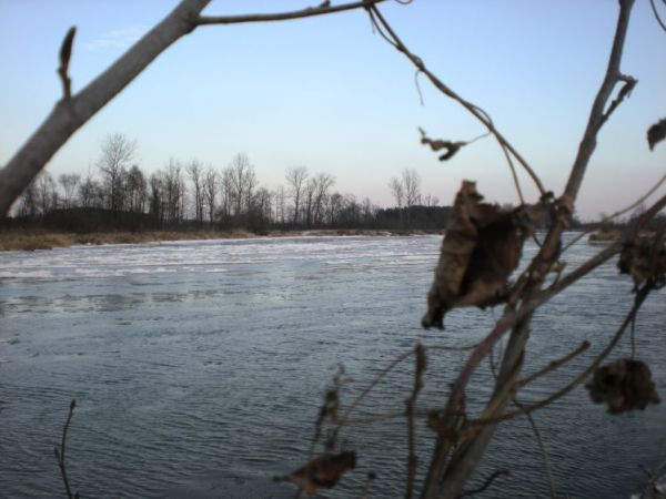 zdjecie Ulaski Stamirowskie